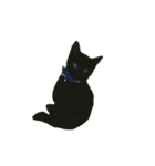 ねこ9（個別スタンプ：6）