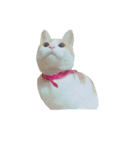 ねこ9（個別スタンプ：7）
