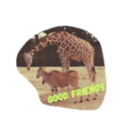 love Animals.（個別スタンプ：1）