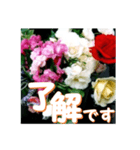 薔薇の花♡アソート6_挨拶メッセージ（個別スタンプ：1）