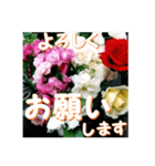 薔薇の花♡アソート6_挨拶メッセージ（個別スタンプ：2）