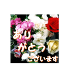 薔薇の花♡アソート6_挨拶メッセージ（個別スタンプ：3）