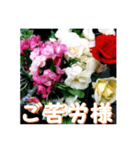 薔薇の花♡アソート6_挨拶メッセージ（個別スタンプ：4）