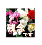 薔薇の花♡アソート6_挨拶メッセージ（個別スタンプ：5）