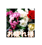 薔薇の花♡アソート6_挨拶メッセージ（個別スタンプ：6）