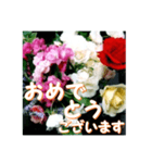 薔薇の花♡アソート6_挨拶メッセージ（個別スタンプ：8）