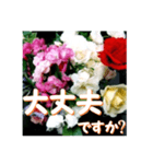 薔薇の花♡アソート6_挨拶メッセージ（個別スタンプ：11）