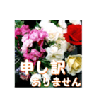 薔薇の花♡アソート6_挨拶メッセージ（個別スタンプ：13）