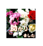 薔薇の花♡アソート6_挨拶メッセージ（個別スタンプ：15）