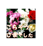 薔薇の花♡アソート6_挨拶メッセージ（個別スタンプ：16）