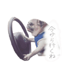 小梅（個別スタンプ：1）