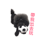 咪嚕的日常（個別スタンプ：13）