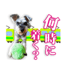 保護犬のわんこ6（個別スタンプ：13）