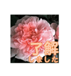 薔薇の花♡ME_挨拶メッセージ（個別スタンプ：1）