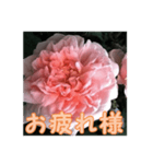 薔薇の花♡ME_挨拶メッセージ（個別スタンプ：4）