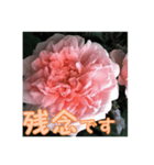 薔薇の花♡ME_挨拶メッセージ（個別スタンプ：6）