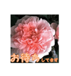 薔薇の花♡ME_挨拶メッセージ（個別スタンプ：9）