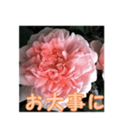 薔薇の花♡ME_挨拶メッセージ（個別スタンプ：10）
