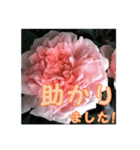 薔薇の花♡ME_挨拶メッセージ（個別スタンプ：15）