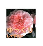 薔薇の花♡ME_挨拶メッセージ（個別スタンプ：16）