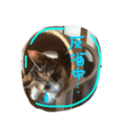 三毛猫 ひめ ・仔猫編（個別スタンプ：4）
