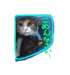 三毛猫 ひめ ・仔猫編（個別スタンプ：5）