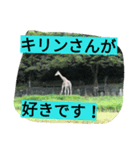 亀がいたので遅れます！（個別スタンプ：2）