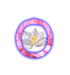 Spelling:natural color - Lotus 2（個別スタンプ：31）