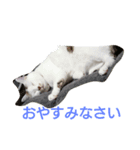 ちく（個別スタンプ：2）