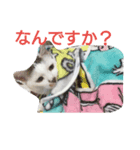 ちく（個別スタンプ：7）