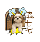 fur kids（個別スタンプ：10）