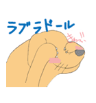 iNU(C-NORI)（個別スタンプ：1）