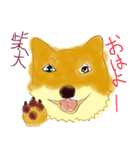 iNU(C-NORI)（個別スタンプ：2）