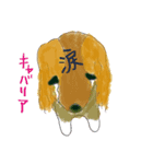 iNU(C-NORI)（個別スタンプ：4）