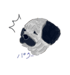 iNU(C-NORI)（個別スタンプ：5）
