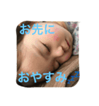 たむさんち（個別スタンプ：5）