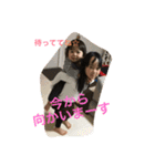 たむさんち（個別スタンプ：9）