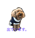 ねこ16（個別スタンプ：6）