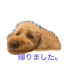 ねこ16（個別スタンプ：7）