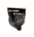 ぷーちゃんと愉快な仲間たち（個別スタンプ：6）
