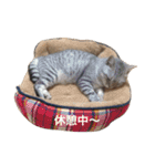 ぷーちゃんと愉快な仲間たち（個別スタンプ：18）