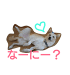 ぼく、りきまる。2（個別スタンプ：4）