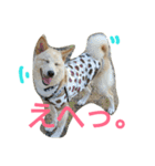ぼく、りきまる。2（個別スタンプ：10）