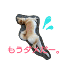 ぼく、りきまる。2（個別スタンプ：13）