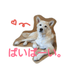 ぼく、りきまる。2（個別スタンプ：16）