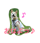 ぼく、りきまる。2（個別スタンプ：18）