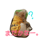 ぼく、りきまる。2（個別スタンプ：19）