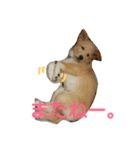 ぼく、りきまる。2（個別スタンプ：20）