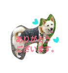 ぼく、りきまる。2（個別スタンプ：22）