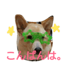 ぼく、りきまる。2（個別スタンプ：23）